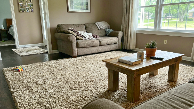 SAFAVIEH Milan Shag Collection beige plush living room rug under 200 dollars